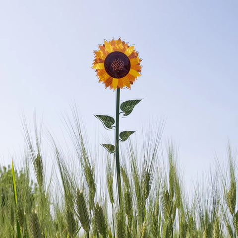 Girasole   Piccolo   Funny   Flowers Vesta