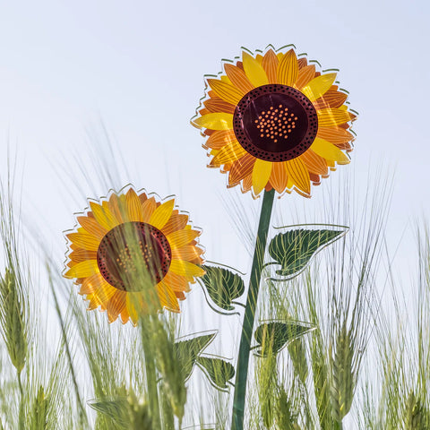 Girasole   Grande   Funny   Flowers Vesta
