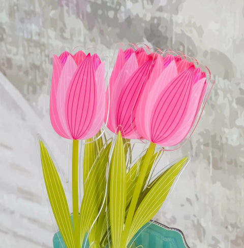 Tulipano   Piccolo   Funny   Flowers Vesta