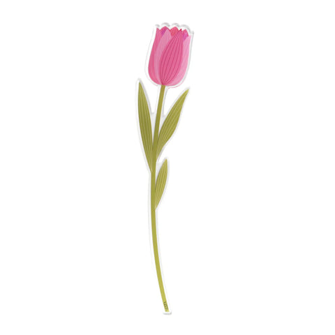 Tulipano   Piccolo   Funny   Flowers Vesta