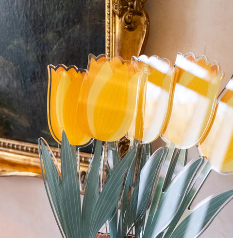 Tulipano   Grande   Funny   Flowers Vesta