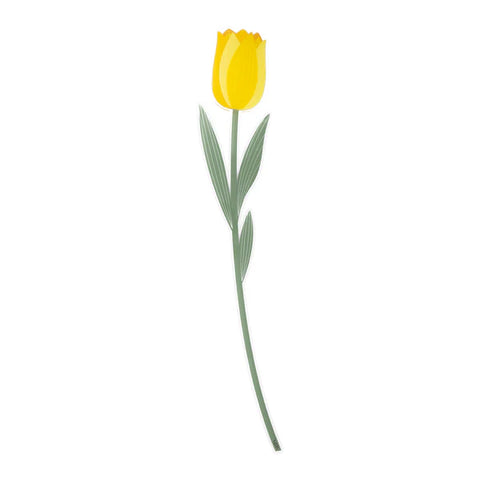 Tulipano   Grande   Funny   Flowers Vesta