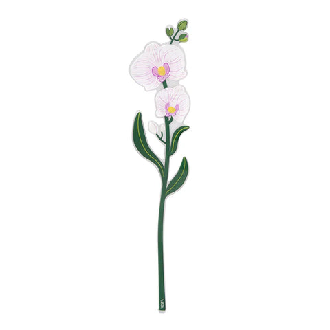 Orchidea   grande   Funny   Flowers Vesta