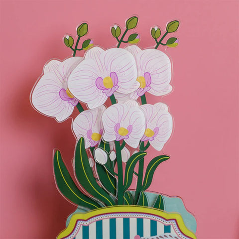 Orchidea   grande   Funny   Flowers Vesta
