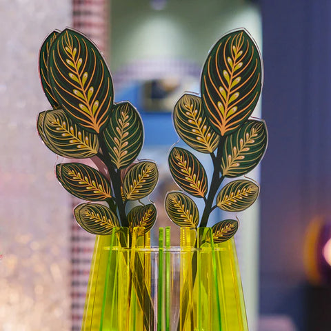 Calathea Verde Grande Funny Flowers Vesta
