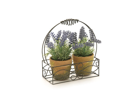 Struttura c/2 vasetti D12 Lavanda cm 25 x 30 Lavanda Bruco