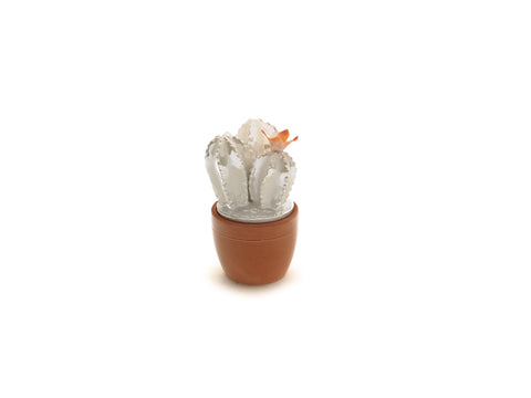 Contenitore cactus ceramica cm 7 x 12 Bruco