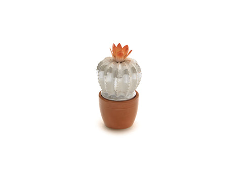 Contenitore cactus ceramica Bruco