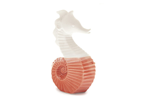 Cavalluccio marino porcellana Bruco