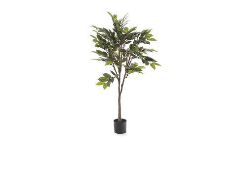 Pianta Caffè c/bacche real touch cm 170 verde Bruco