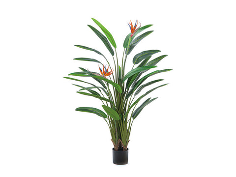 Pianta Sterlizia fiorita real touch cm 160 Verde-Arancione Bruco