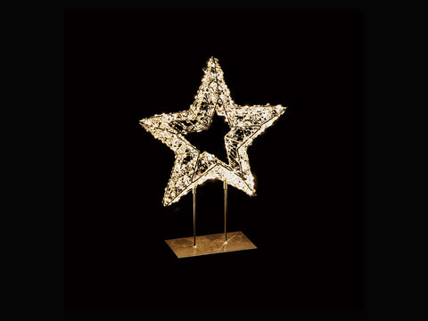 STELLA CM39X46 SU STANDING C/300 LUCI LED 220V - BRUCO