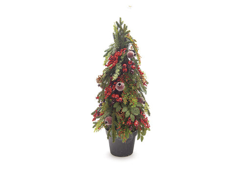 ALBERELLO PINO E MELOGRANI CM23X80 BRUCO