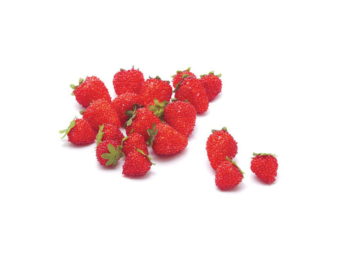 Busta 20 pz fragole artificiali rosse Bruco