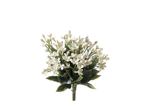 Bundle Stephanotis cm 25 bianco Bruco