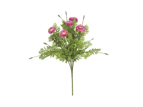 Bush pratolina cm 33 Fuxia Bruco