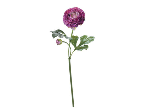 Ranuncolo real Touch Katy x2 cm 51 Fuxia Bruco