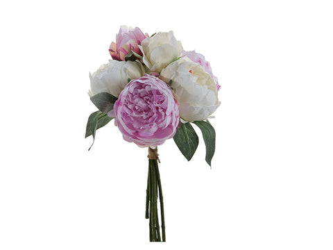 Bundle peonie linda x7 cm 38 bianco/rosa Bruco