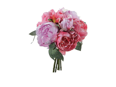 Bundle Peonie Linda x7 cm 38 Fuxia Bruco