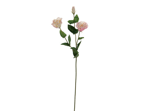 Lisianthus x3 real Touch cm 72 bianco/rosa Bruco