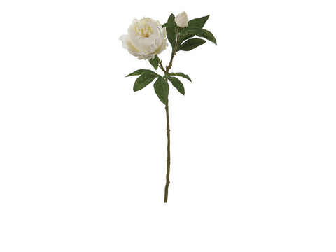 Peonia c/bocciolo cm 62 realtouch bianco Bruco