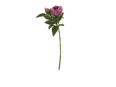 Peonia c/bocciolo cm 62 Realtouch purple Bruco