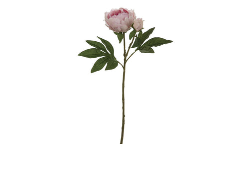 Peonia c/bocciolo cm 62 realtouch rosa Bruco
