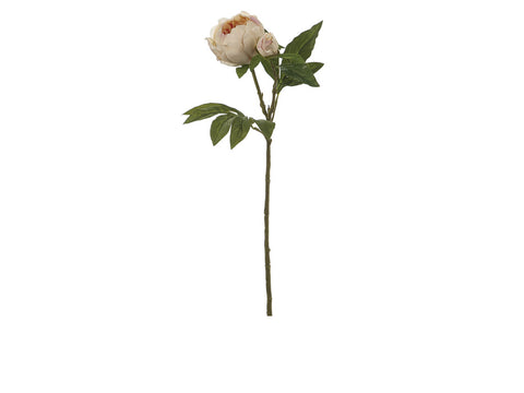 Peonia c/bocciolo cm 62 realtouch salmone Bruco