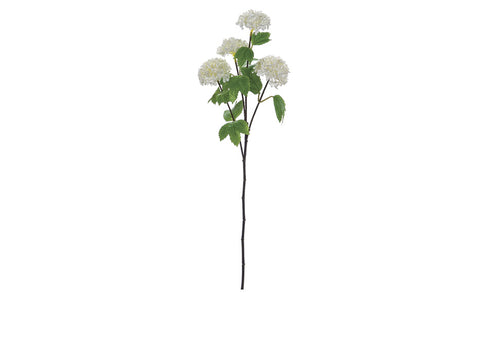 RAMO VIBURNO CM70 BIANCO   Bruco