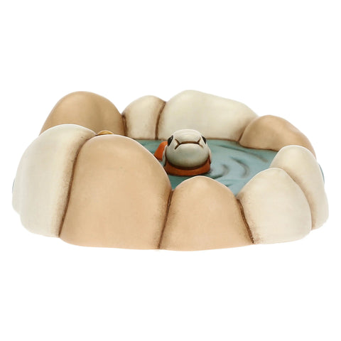 Laghetto con pesciolino