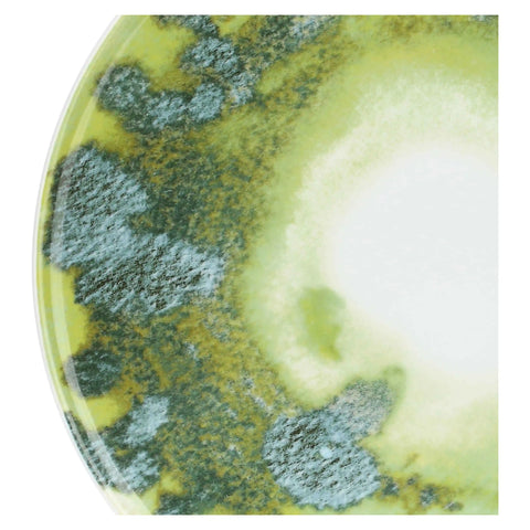 Set 4 ciotoline con vassoio, Oasi Thun