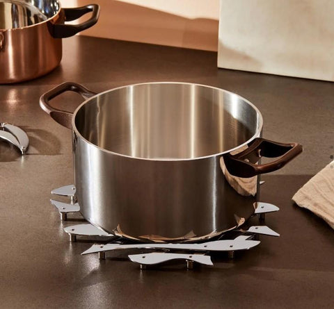 Pescher sottopentola estensibile