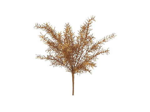 NATALE BUSH ASPARAGUS