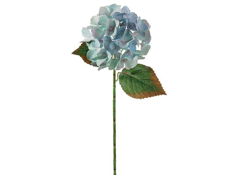 ORTENSIA CHANTAL BLU