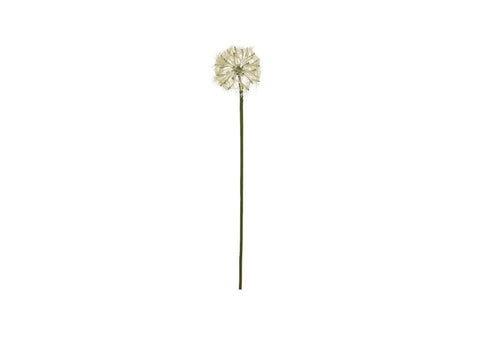 DANDELION GIRASOLE CREMA 73 CM