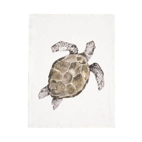 Canovaccio Testuggine