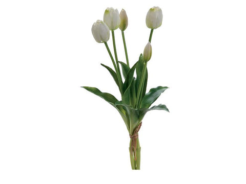 BUNDLE TULIPANI BIANCO