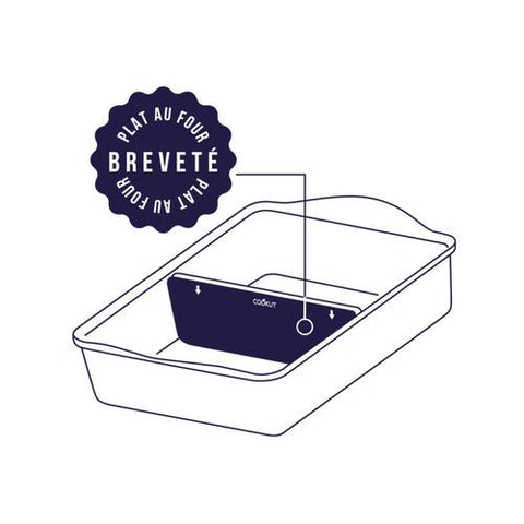 l incredibile pirofila 40x30 color passion