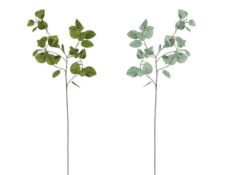 RAMO EUCALIPTUS VERDE