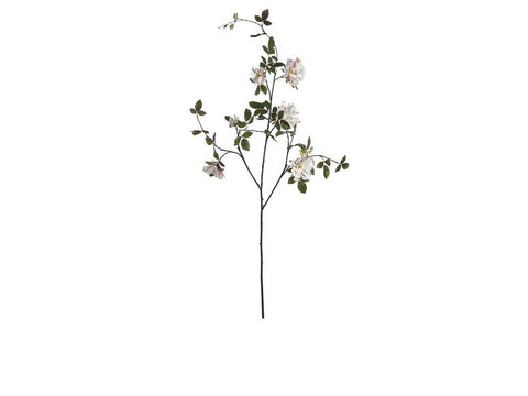 RAMO ROSA MAXY BIANCO-ROSA