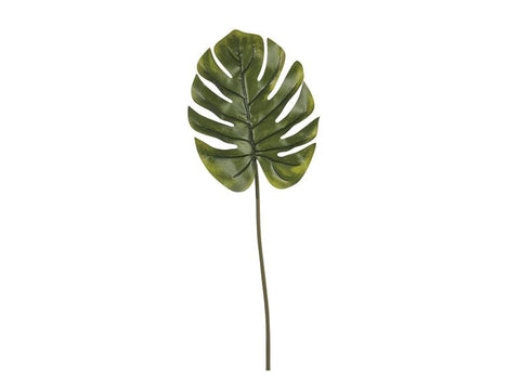 FOGLIA MONSTERA VERDE