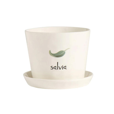 Vaso Salvia con sottovaso simple day