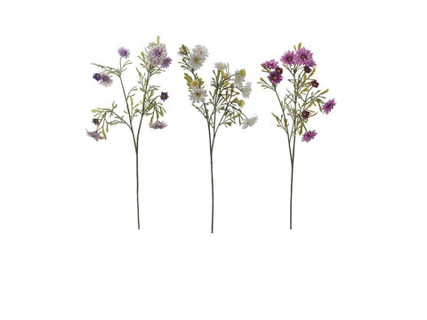 MARGHERITA COLORI ASSORTITI