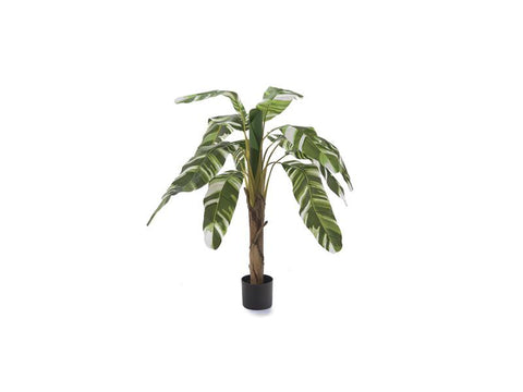 PIANTA BANANO REAL TOUCH 150 CM