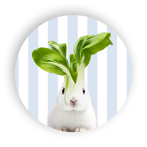 Sottopentola in ceramica 18 cm. decoro coniglio WD