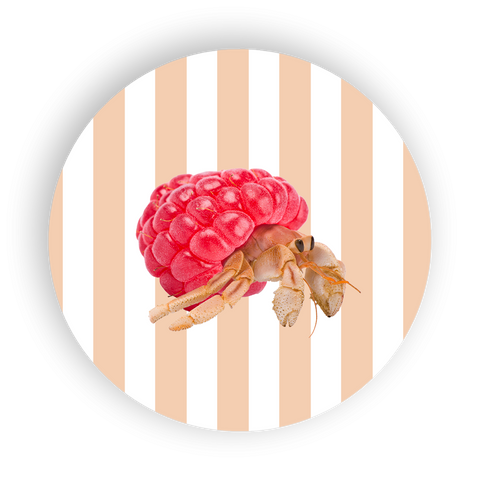 Sottopentola in ceramica 18 cm. decoro paguro WD