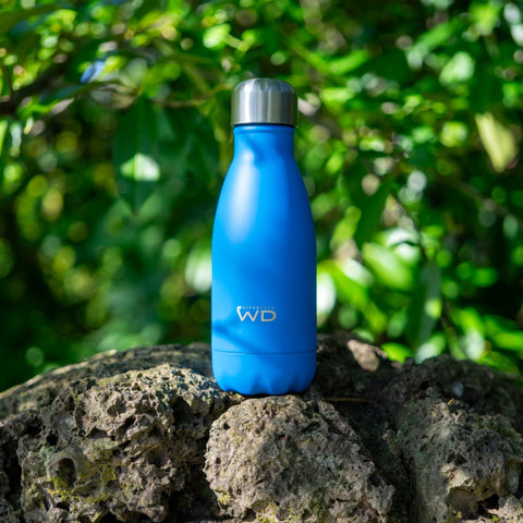 Bottiglia termica in acciaio da 260 ml. Colore Blu WD